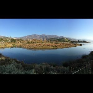 Meet your Posher, Tommy